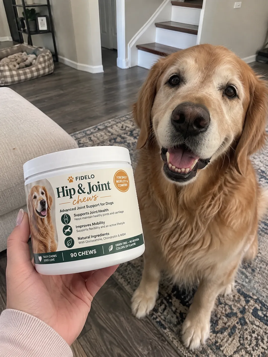 Bailey, Susan's Golden Retriever, next to a tub of Fidelo chews